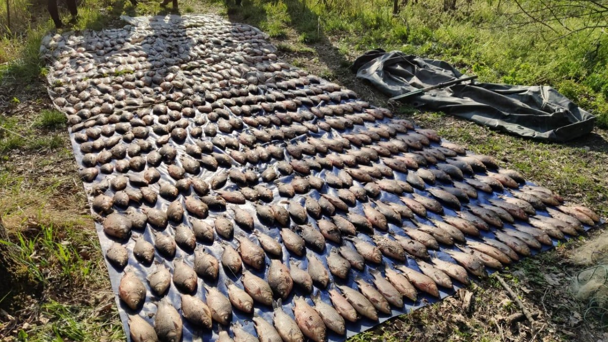Полиция задержала браконьера который выловил почти 200 килограмм рыбы
