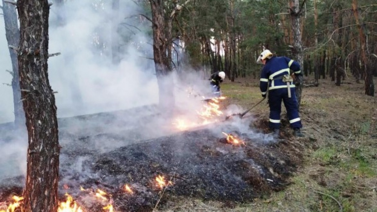 За сутки 10 пожаров в экосистемах, огнем уничтожено 4 гектара растений
