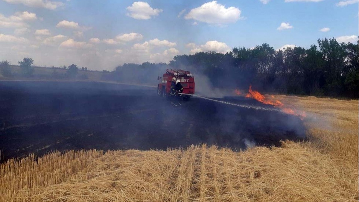 В Петропавловском районе пожар уничтожил 4 гектара пшеницы