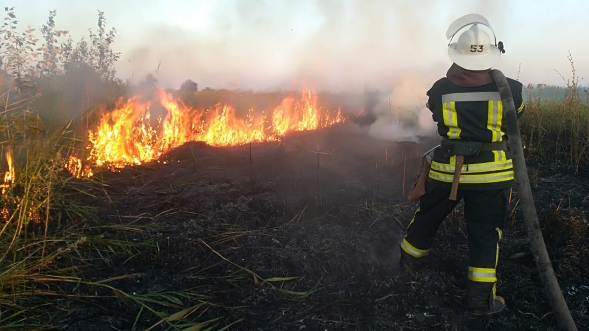 В области объявили наивысший уровень пожарной опасности