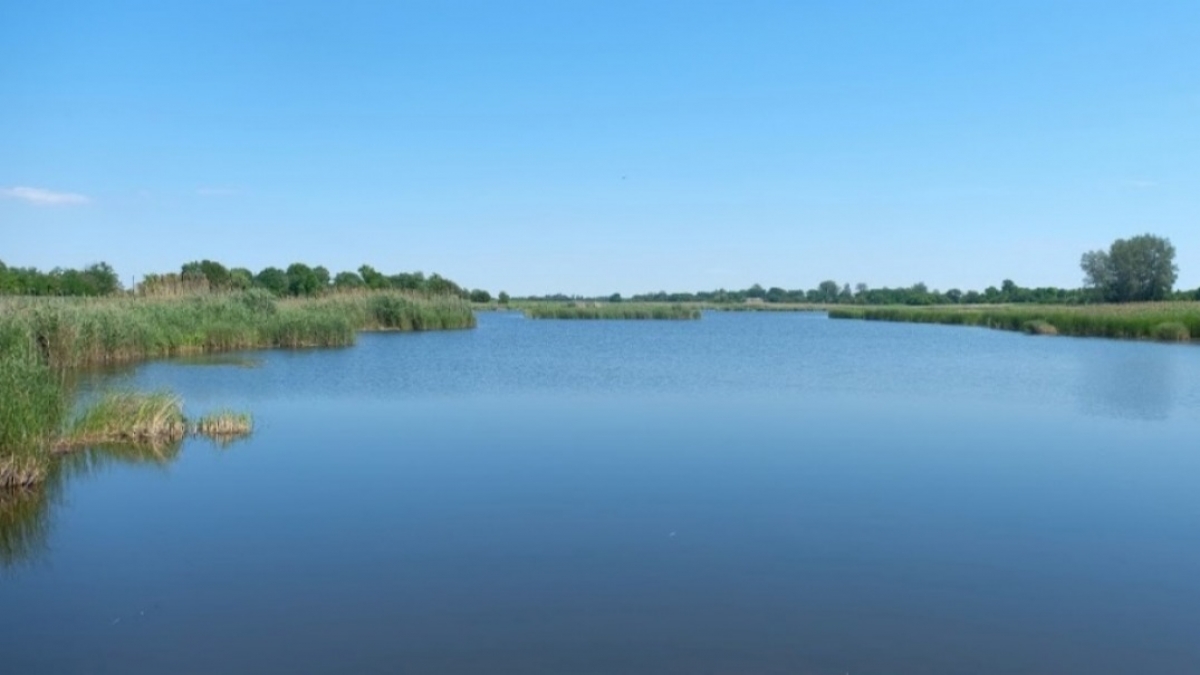За три летних месяца на водоемах Днепропетровщины погиб 31 человек