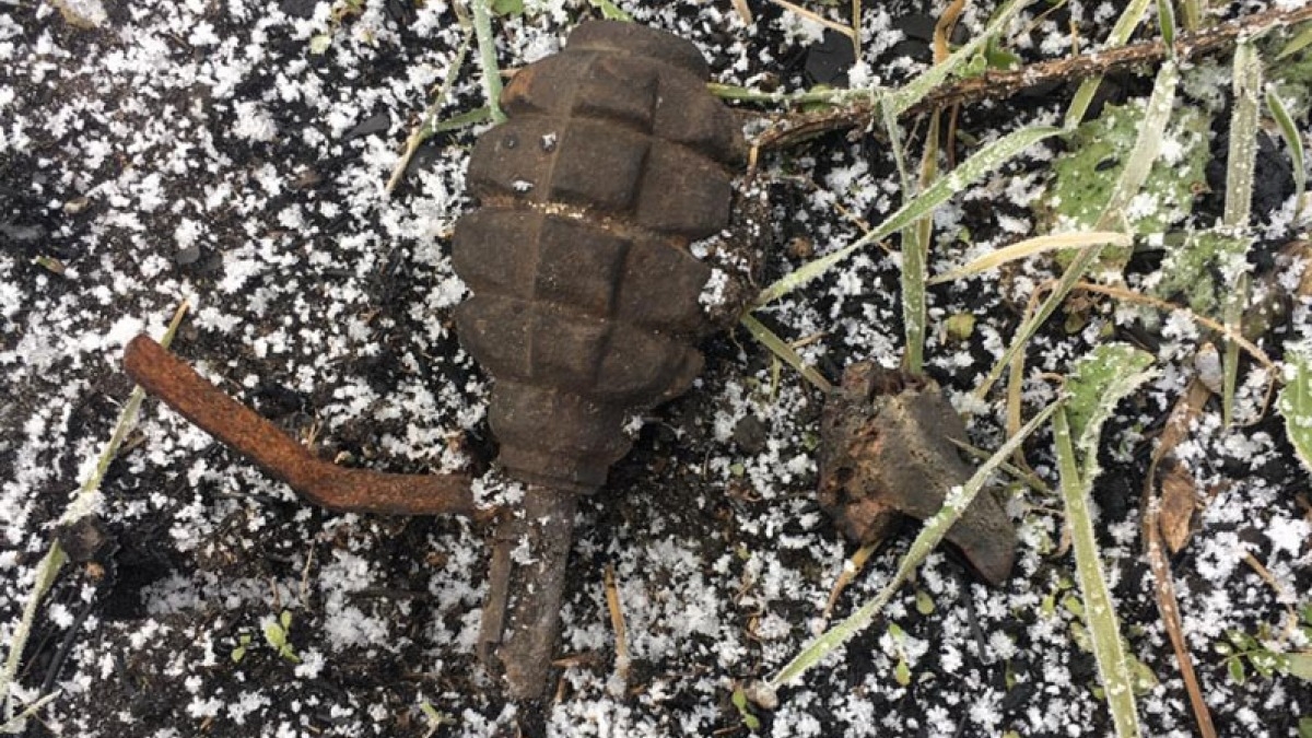 Возле Богдановки местный житель нашел гранату