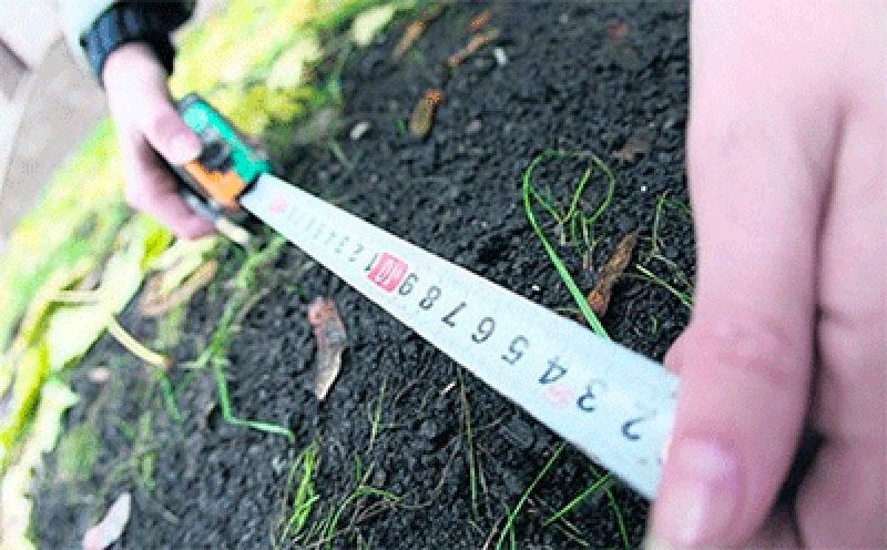 Чиновники бездействуют при самозахватах земель в Павлоградском и Петропавловском районах