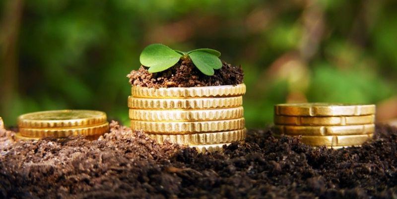 12,5 га рекультивационных земель в Терновке передали в аренду ДТЭК