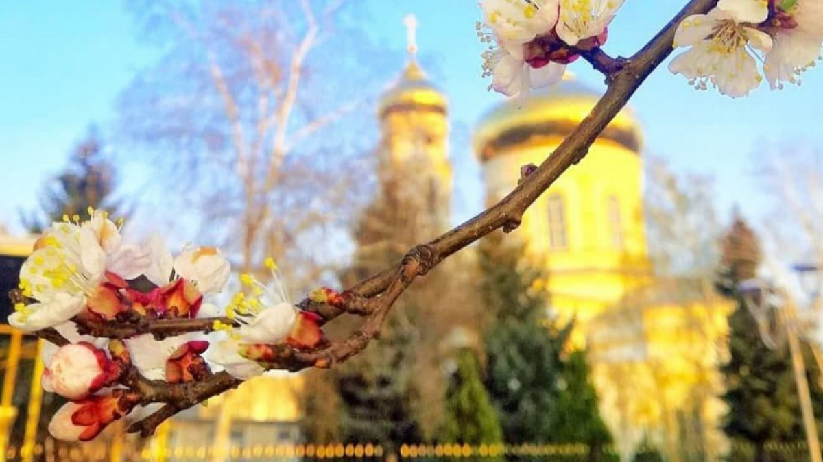 Будут ли открыты храмы на Пасху в Павлограде? 