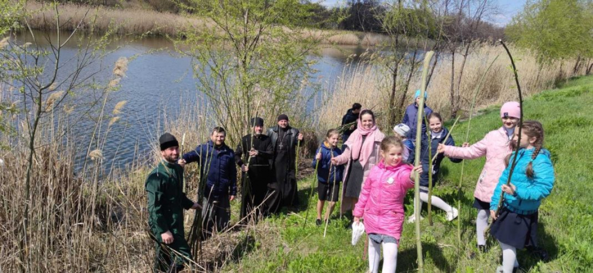 В Павлограде вдоль центральной набережной высадили вербы