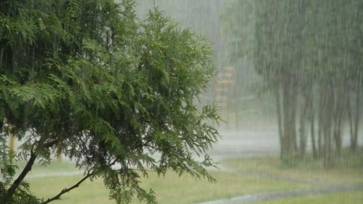 В Днепропетровской области в ближайшие дни ожидают сильный ветер и дожди