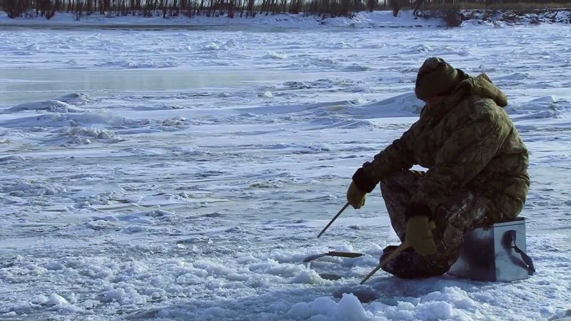 Рыбакам-нарушителям грозят штрафы и срок
