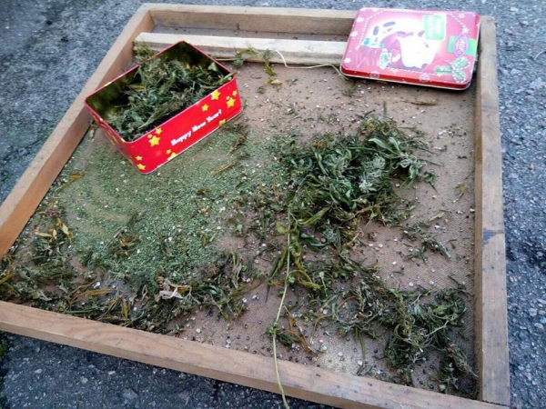 Задержан павлоградец, распространявший марихуану в городе и окрестностях 