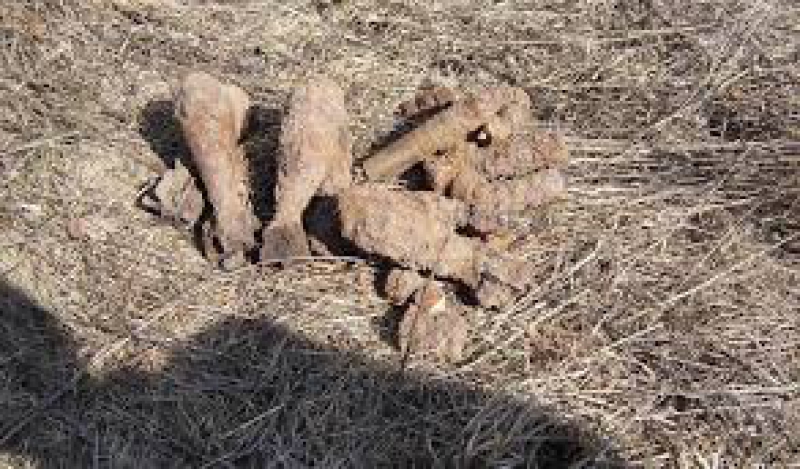 Боевые мины в пятиэтажке Павлограда. Мужчина пытался разобрать снаряды **Эксклюзив