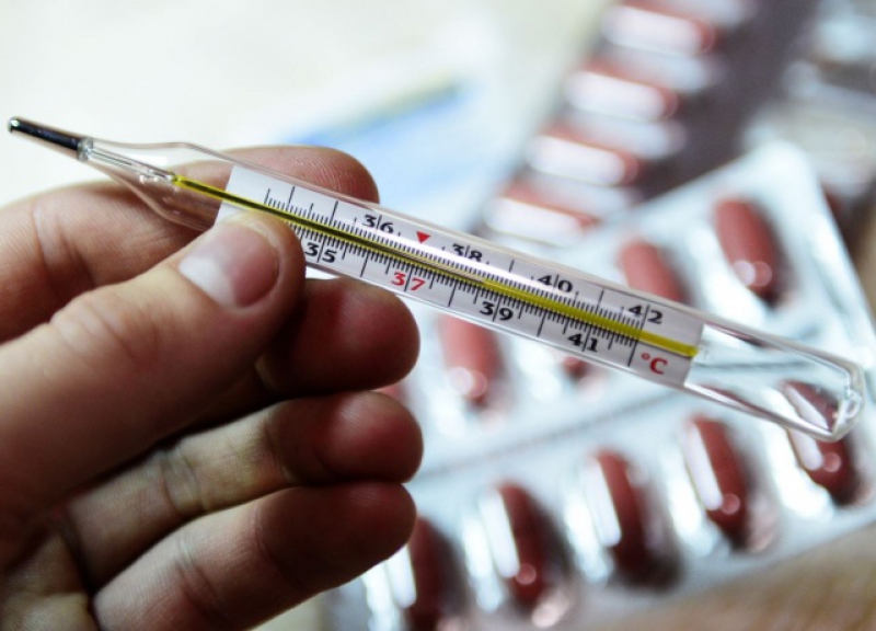 В области началась эпидемия гриппа