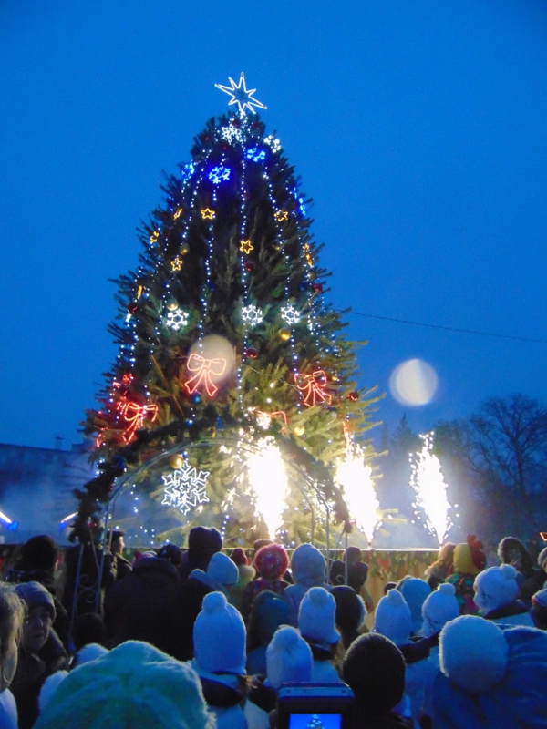 Главная ёлка Западного Донбасса засияла новогодними огнями