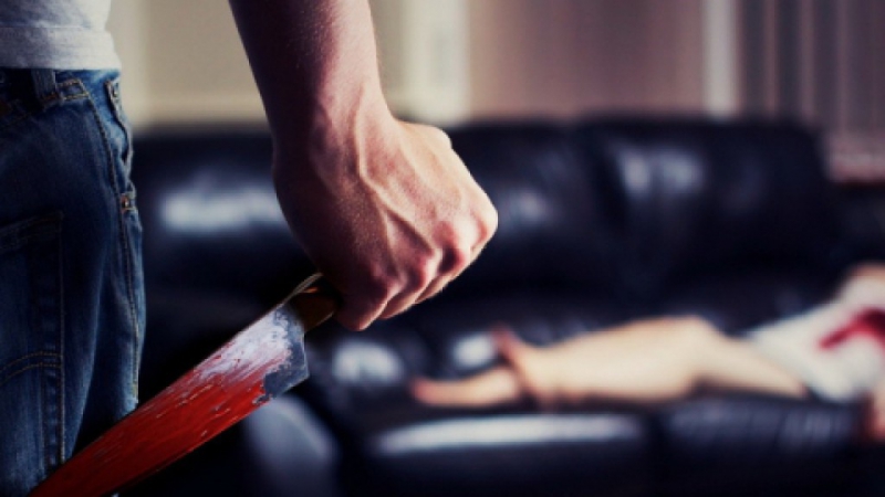 На Днепропетровщине  20-летнему юноше за убийство брата  грозит 7 лет