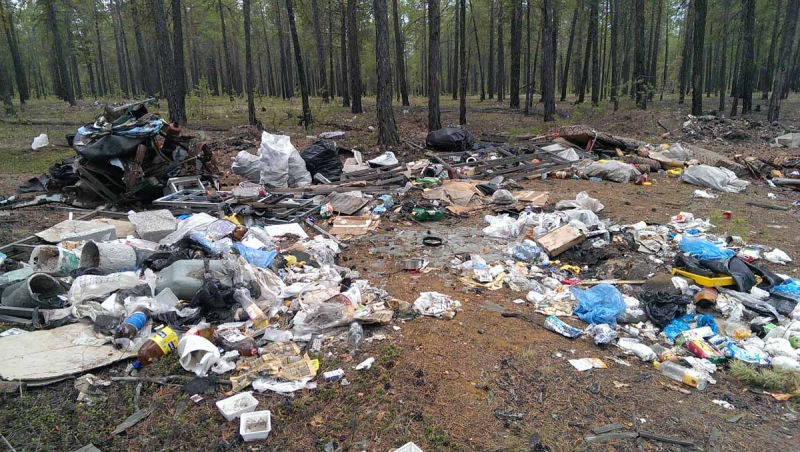 В Украине увеличили  штраф за мусор в лесу