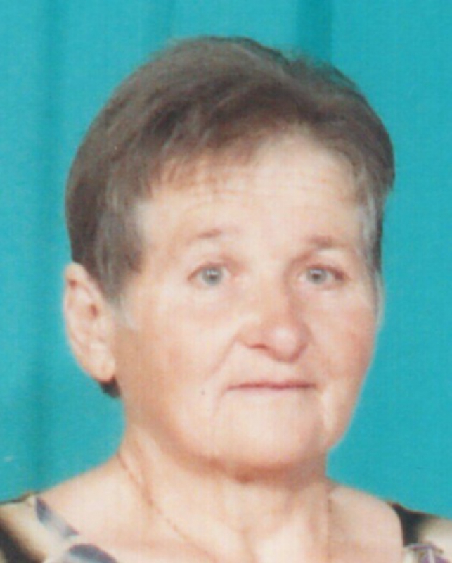 В Павлоградском районе безвести пропала женщина