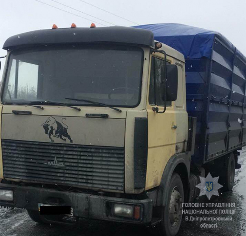 В Павлограде водитель незаконно перевозил около 14 тонн семечек