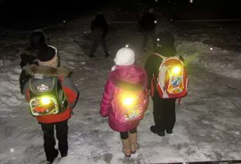 Пешеходов обязуют носить на одежде фликсеры