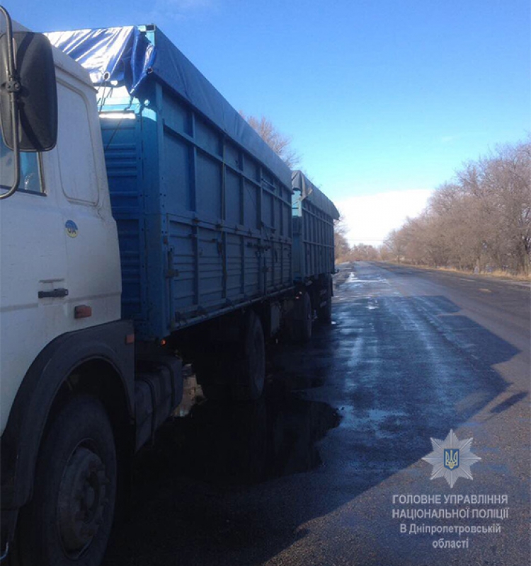 В Павлограде задержали грузовик с 27 тонн семечки