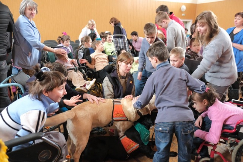 Кинологическое шоу для детей с инвалидностью