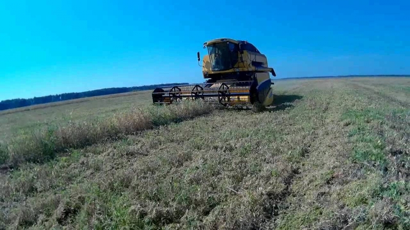 Фермеры Днепровщины продали несуществующий урожай за шесть миллионов