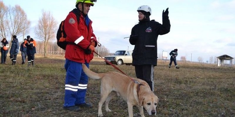 В Павлограде прошли Национальные соревнования собак-спасателей