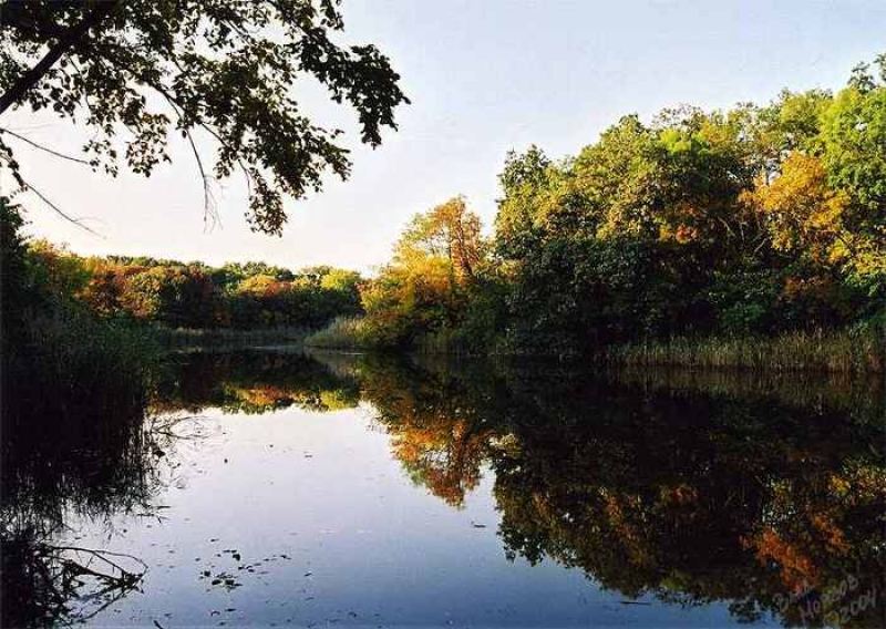 В реке Самара найден труп 