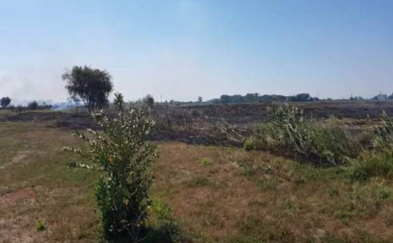 Пожар в Павлограде: сгорело 3 га камыша 