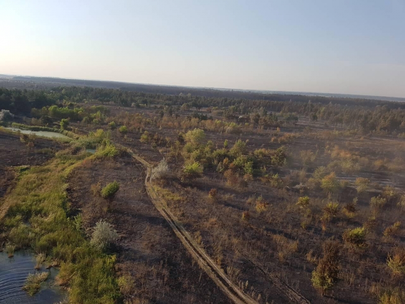 В Петропавловском районе сгорело 90 гектар леса: к тушению пожара привлекли авиацию - ВИДЕО!