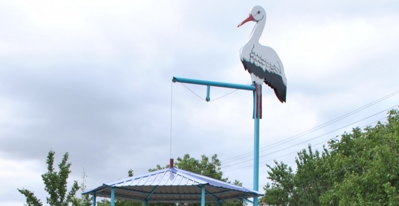 В Павлоградском районе появился журавель