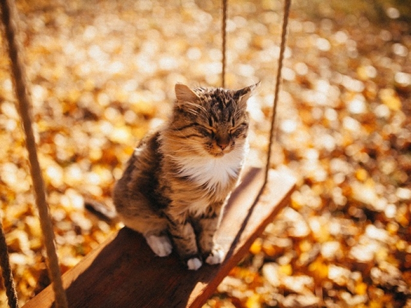 В Павлограде закончатся заморозки 