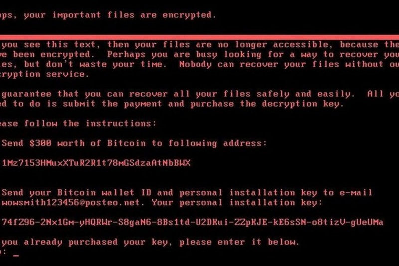 Вирус Petya может вернуться. Под угрозой государственные и частные компании 