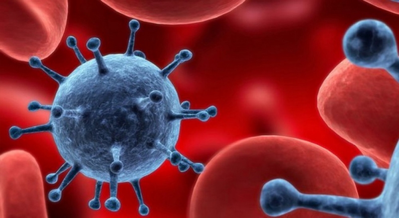 Свиного и семейного гриппа в этом году стоит опасаться на Днепропетровщине