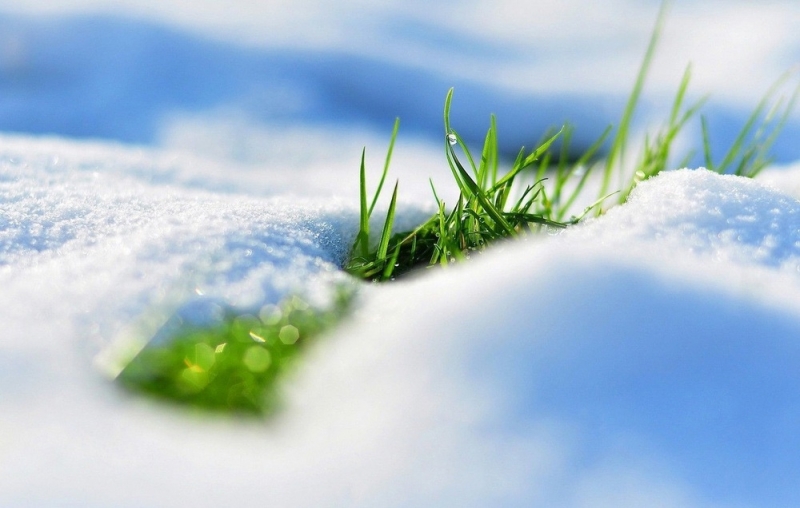 Такой теплой зимы, как сейчас, не было 100 лет