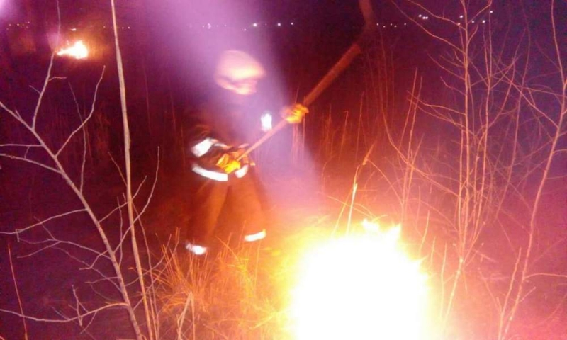 За выжигание растительности павлоградцев могут наказать копейкой