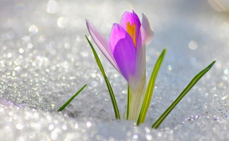 Будет ли весна холодной? 26 февраля наши предки определяли погоду на будущее