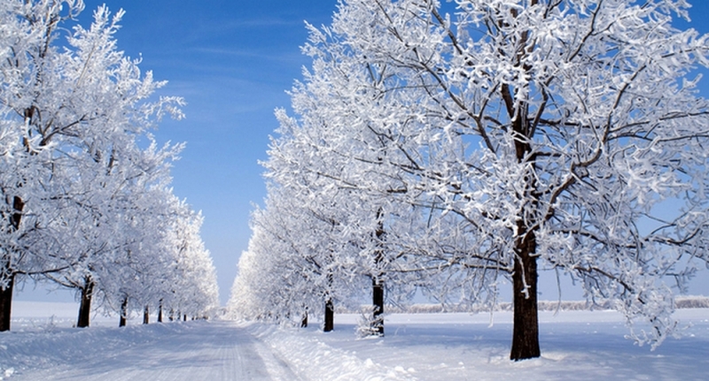 Стало известно, сколько продлится морозная погода в Украине
