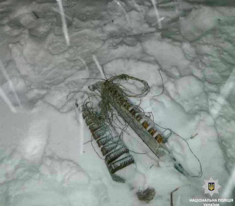 За кражу телефонных коммуникаций полицейские задержали павлоградца