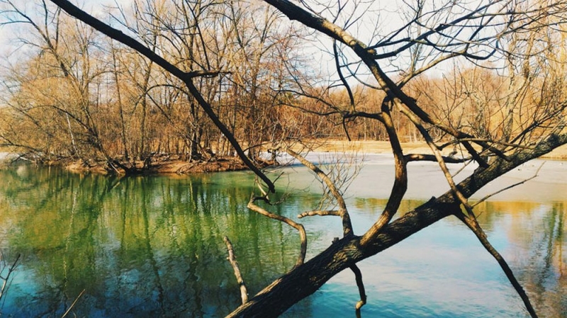 Народные приметы: 01 апреля Дарья Грязная и в этот день нужно сбивать домового с толку