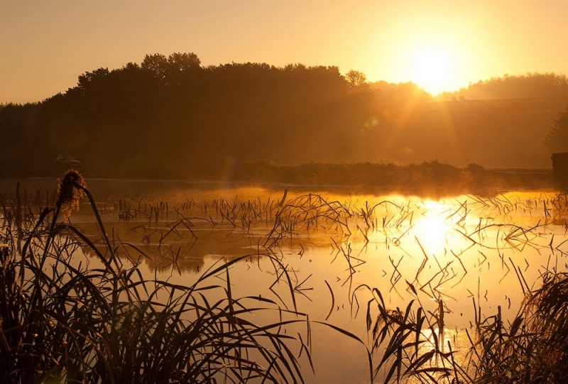 Народные приметы: 3 апреля о плодотворности года подскажут красные круги вокруг солнца