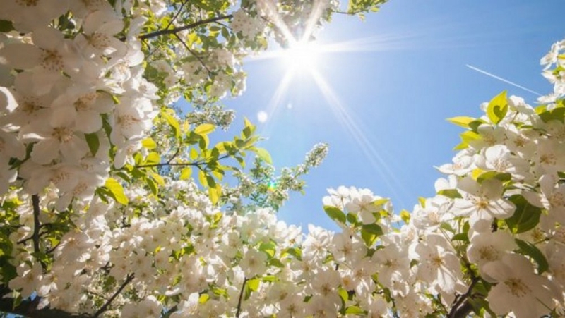 Народные приметы: 6 апреля канун Благовещения