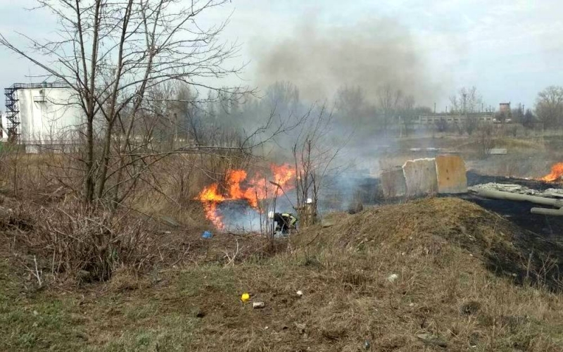 В центре Павлограде выгорело полгектара сухой растительности
