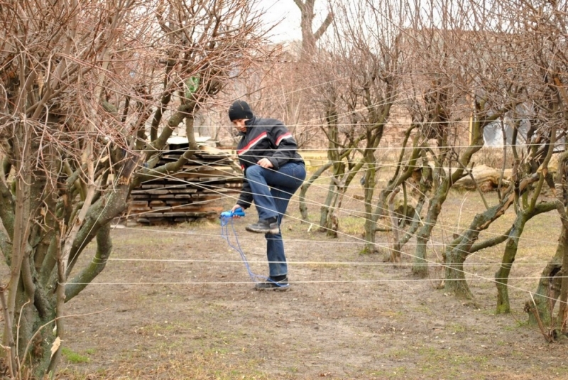 Для учеников Павлограда работники образования провели экологический квест
