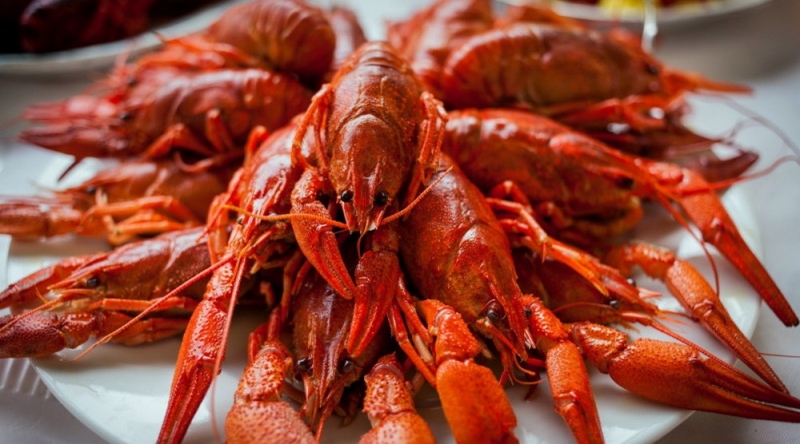 В Павлограде за продажу раков без документов будут штрафовать