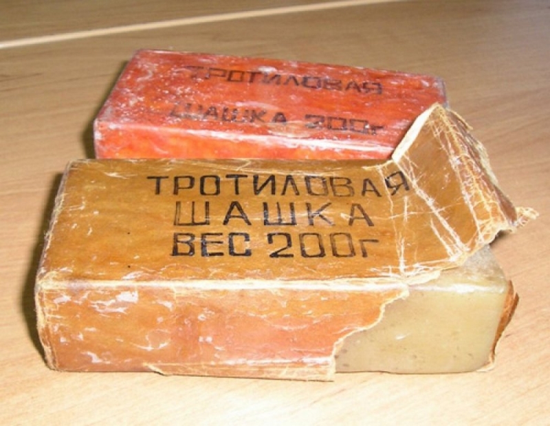 У ранее судимого павлоградца полицейские нашли марихуану и тротиловую шашку