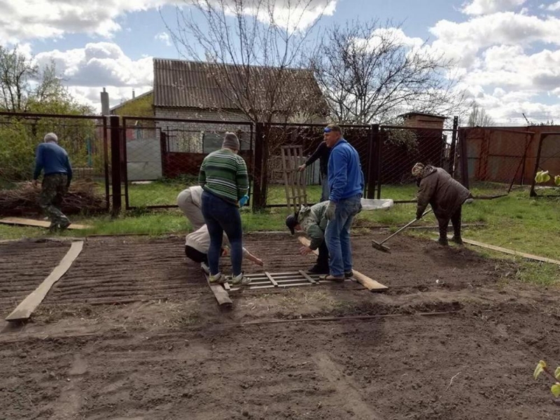 Павлоградский лес пополнился 80 тыс. саженцами деревьев