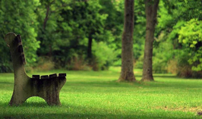 Мэр Павлограда предложил предпринимателям купить скамейки в парк