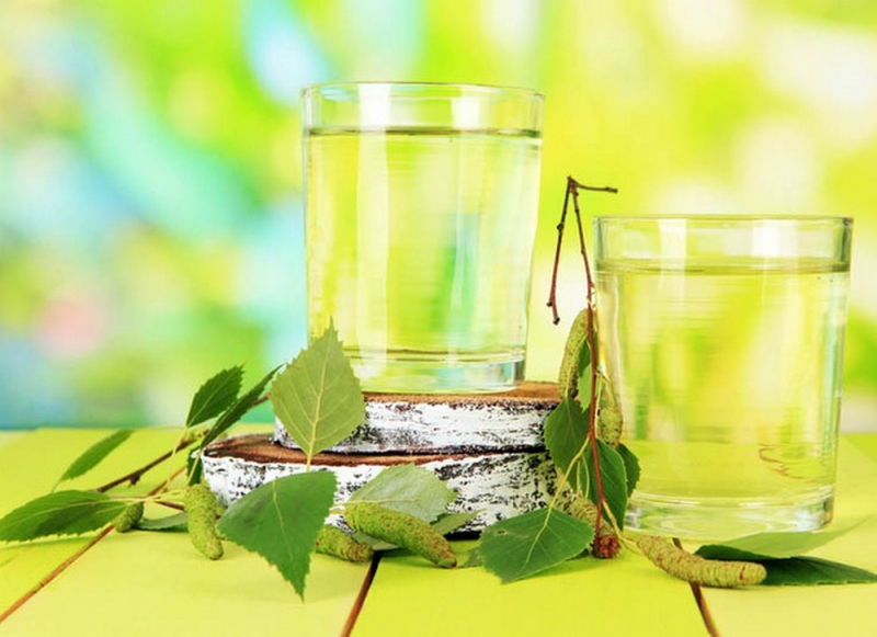 Народные приметы: 11 мая наши предки использовали «хмельное» лечение