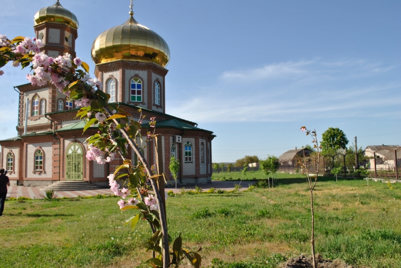 Реализация программы озеленения Западного Донбасса