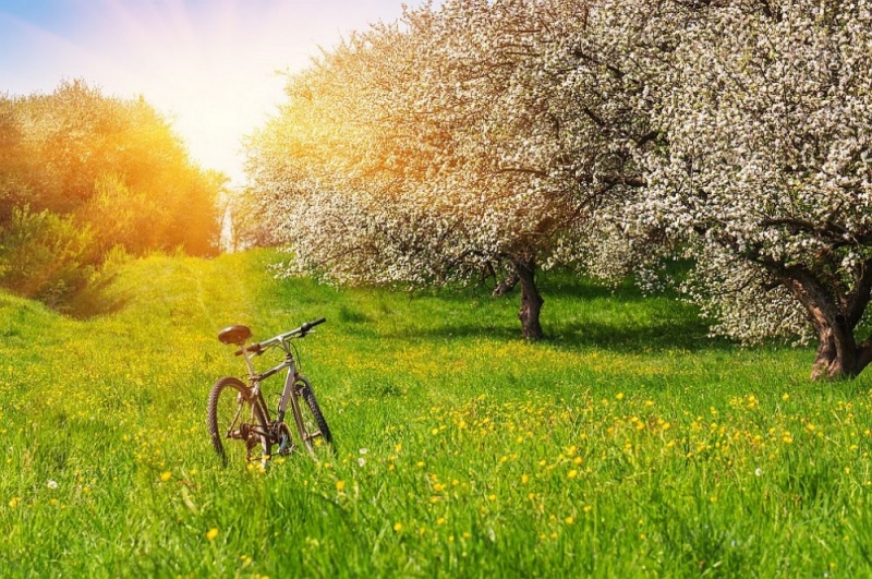 Народные приметы: 12 мая наши предки подставляли лицо ветру