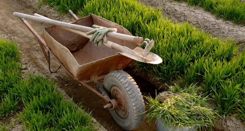 Народные приметы: 23 мая запрещалось работать в огороде